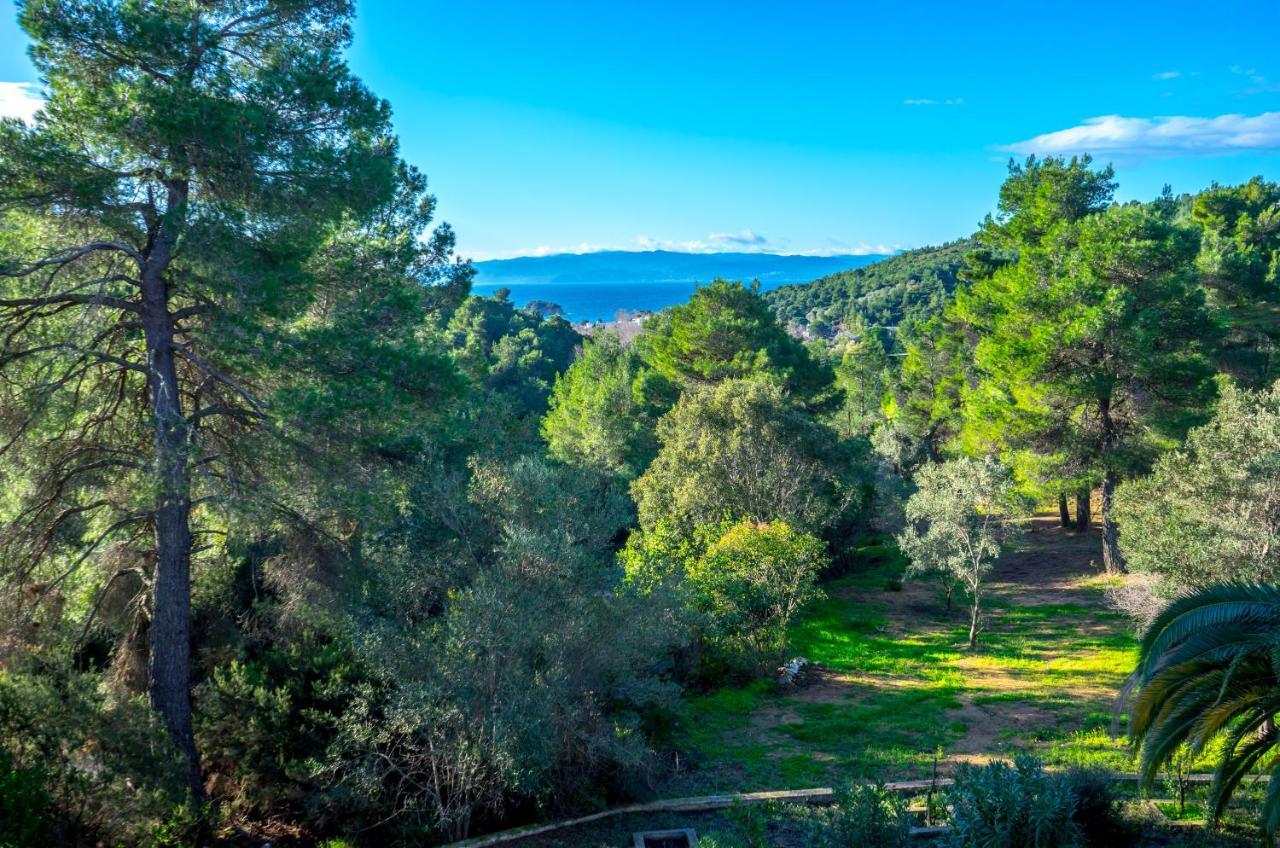 Forest Resort Suites Skiathos ترولو المظهر الخارجي الصورة