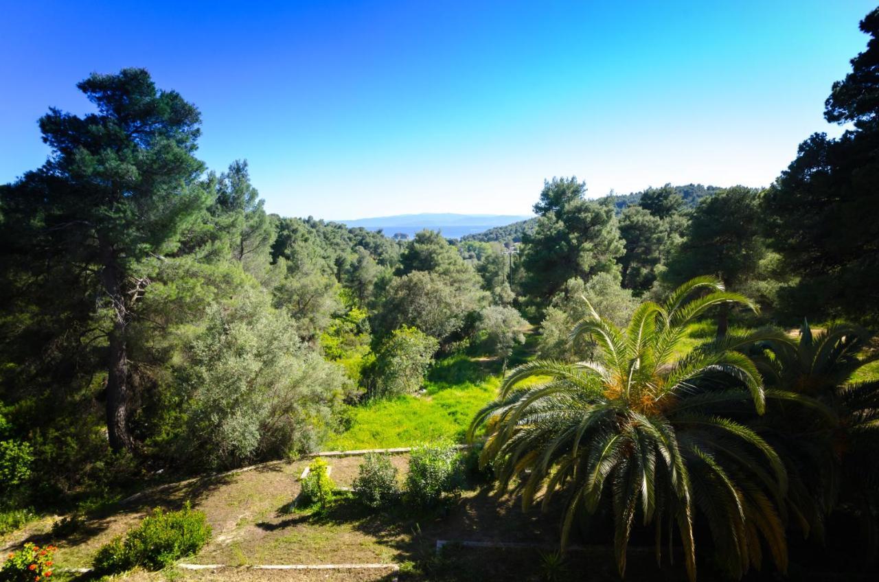 Forest Resort Suites Skiathos ترولو المظهر الخارجي الصورة