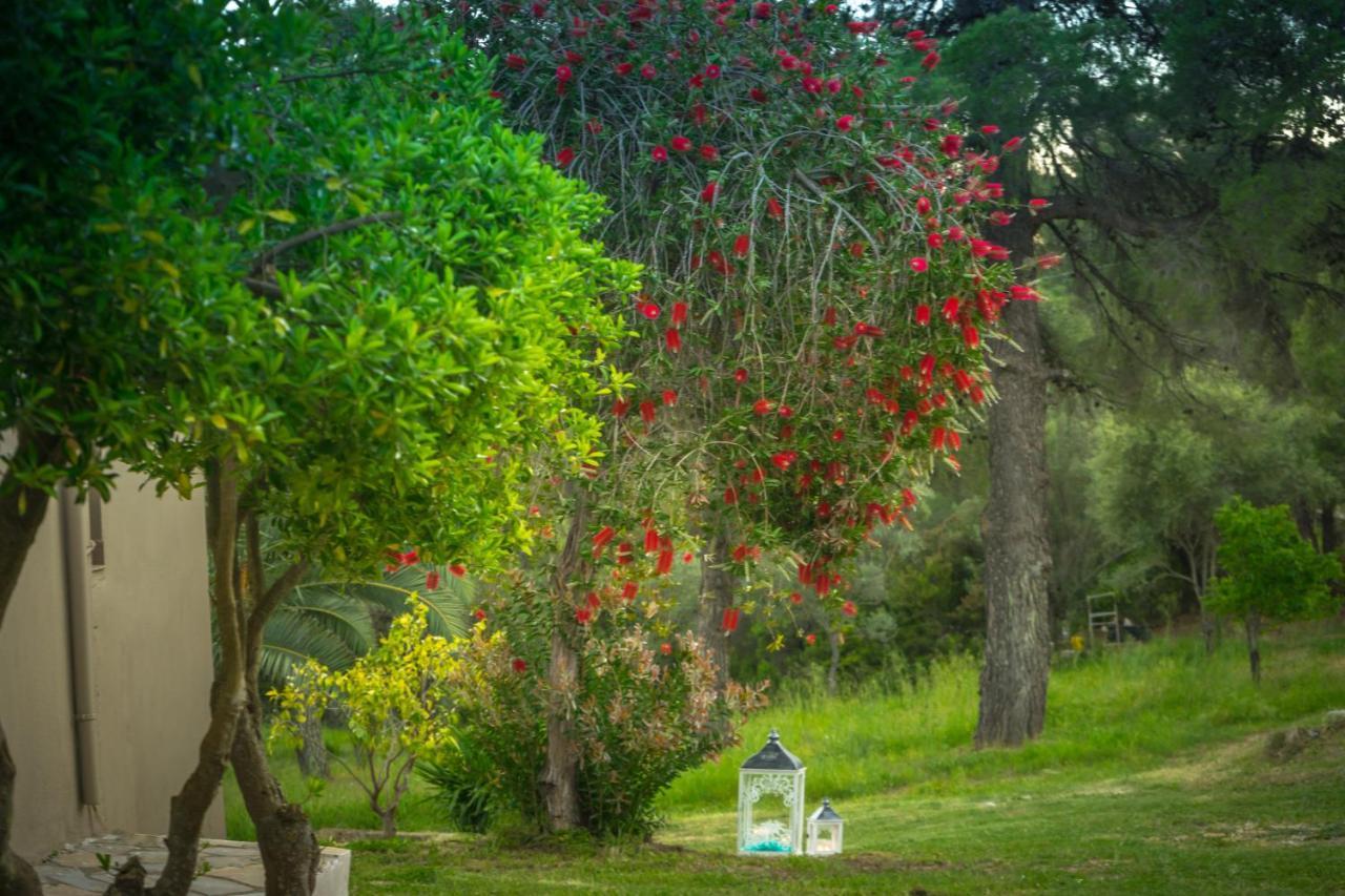 Forest Resort Suites Skiathos ترولو المظهر الخارجي الصورة