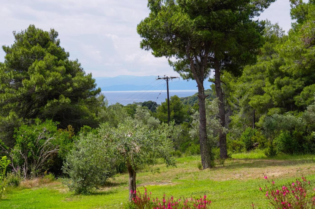 Forest Resort Suites Skiathos ترولو المظهر الخارجي الصورة